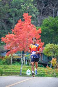 BIB: 8214, 
                            <button type="button" onclick="openModal(19239205)" class="btn btn-primary btn-sm float-right btn-popup" data-toggle="modal" data-target=".modal-high-quality">
                        <i class="fas fa-shopping-cart"></i> Add to Cart
                    </button>
                                            <button type="button" onclick="isThisMe(19239205, true)" class="btn btn-success btn-sm float-right btn-popup btn-isme hidden" data-toggle="tooltip" data-placement="bottom" title="นี่คือรูปของคุณใช่ไหม คลิกที่นี่เพื่อเอาเข้าอัลบั้ม">
                        <i class="fas fa-plus"></i> Add to album
                    </button>
                    <button type="button" onclick="isThisMe(19239205, false)" class="btn btn-warning btn-sm float-right btn-popup btn-isnotme hidden">
                        <i class="fas fa-ban"></i> Remove from album
                    </button>